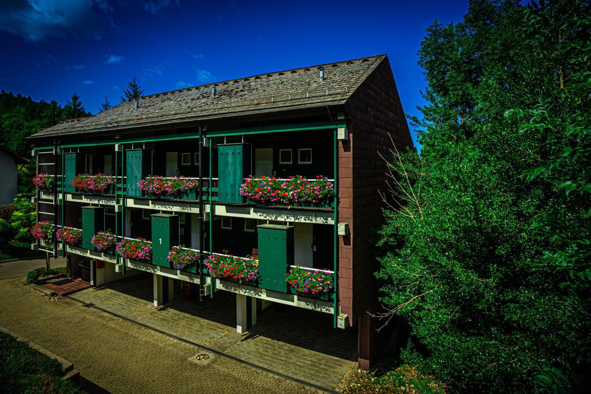 Natur Tanken Im Schwarzwald Sasbachwalden Ngoại thất bức ảnh
