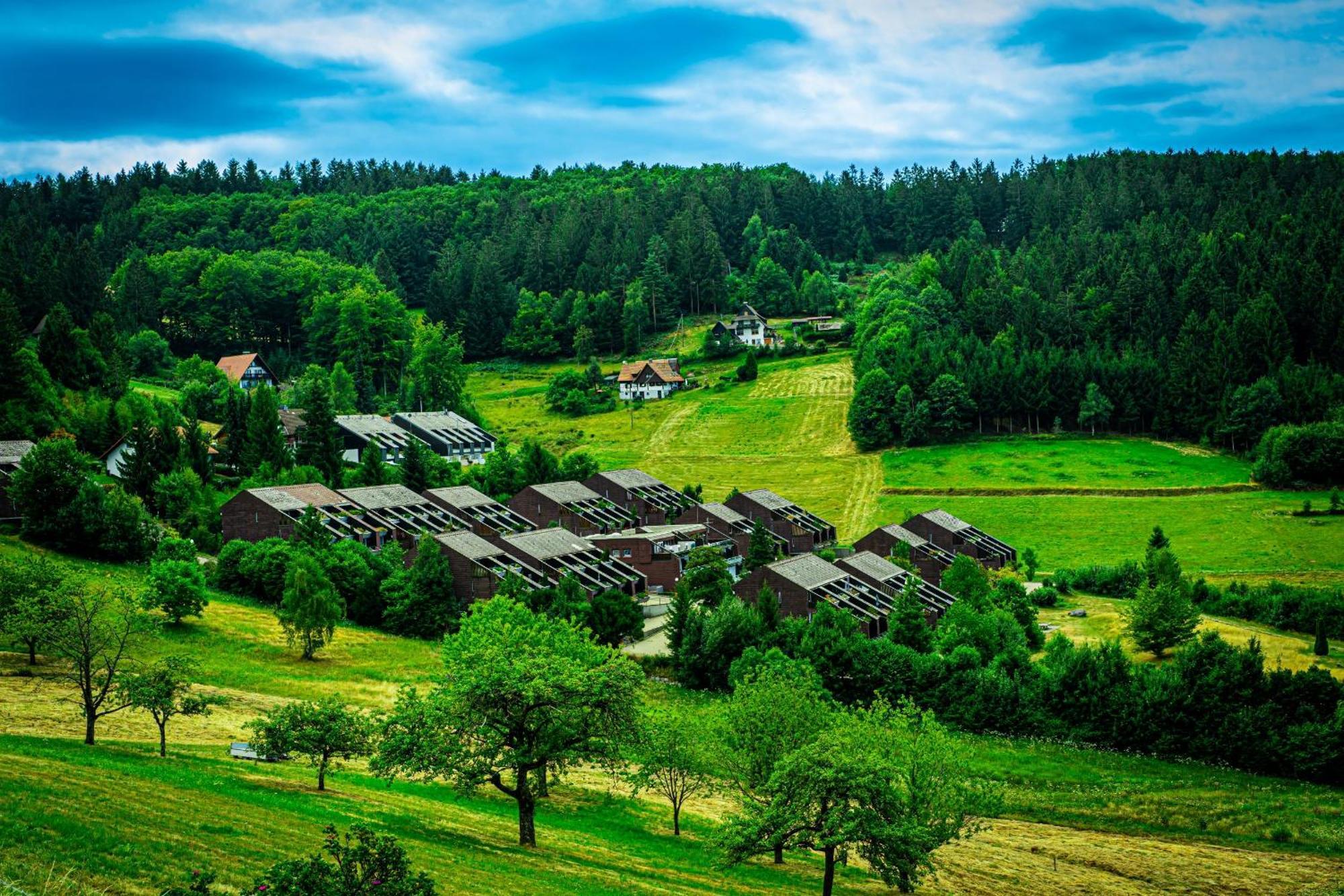 Natur Tanken Im Schwarzwald Sasbachwalden Ngoại thất bức ảnh